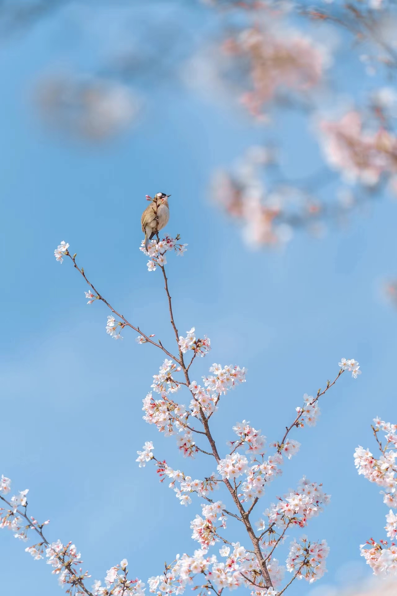 提前十分鐘，人生大不同